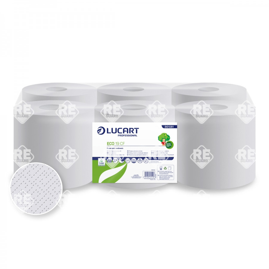 Professionelle Papierhandtuchrolle aus dem Re-Guard Sortiment